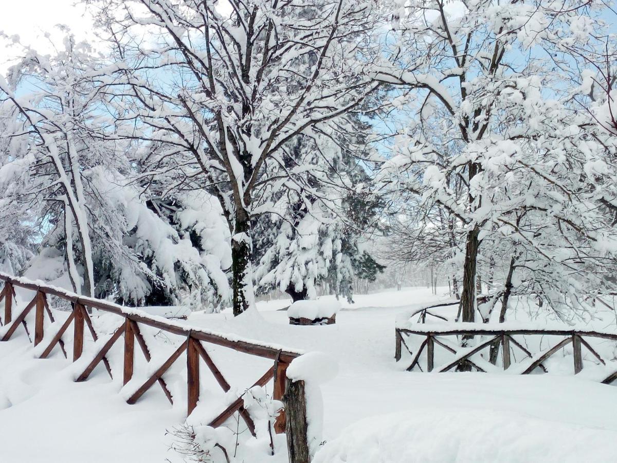 Il Castagno Bed and Breakfast Montemonaco Exteriör bild